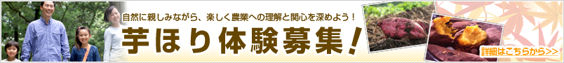 芋ほり体験募集